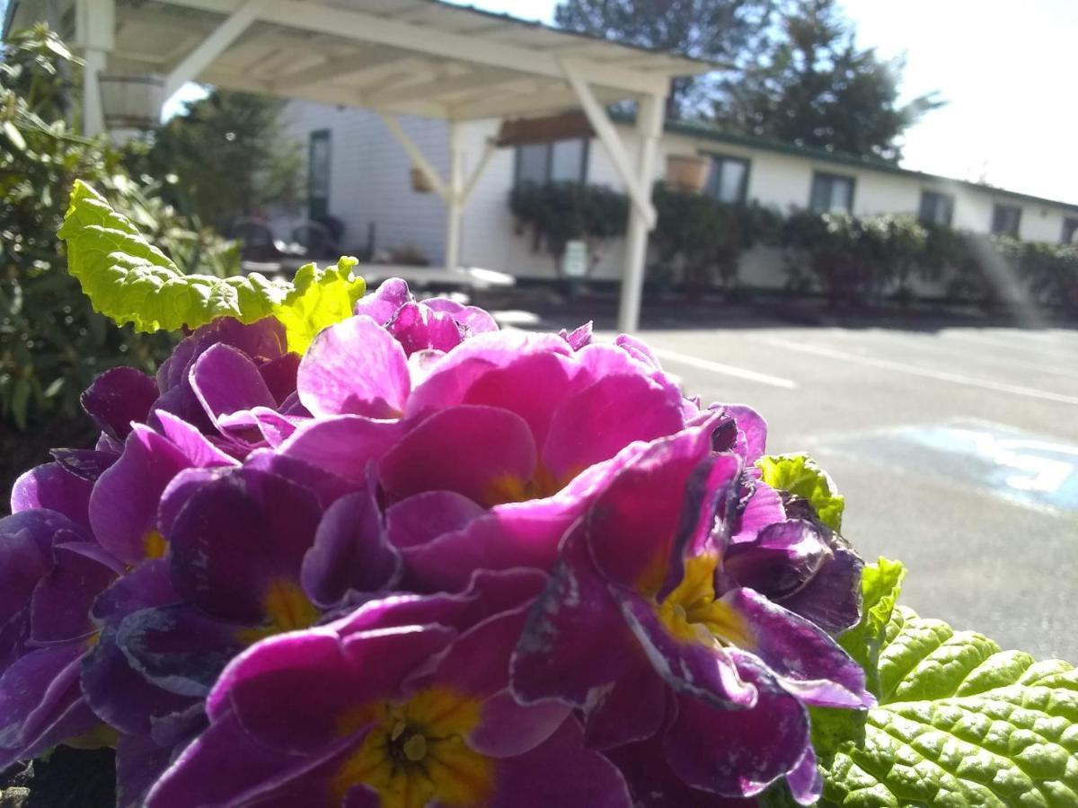 The Orca Inn Friday Harbor Esterno foto