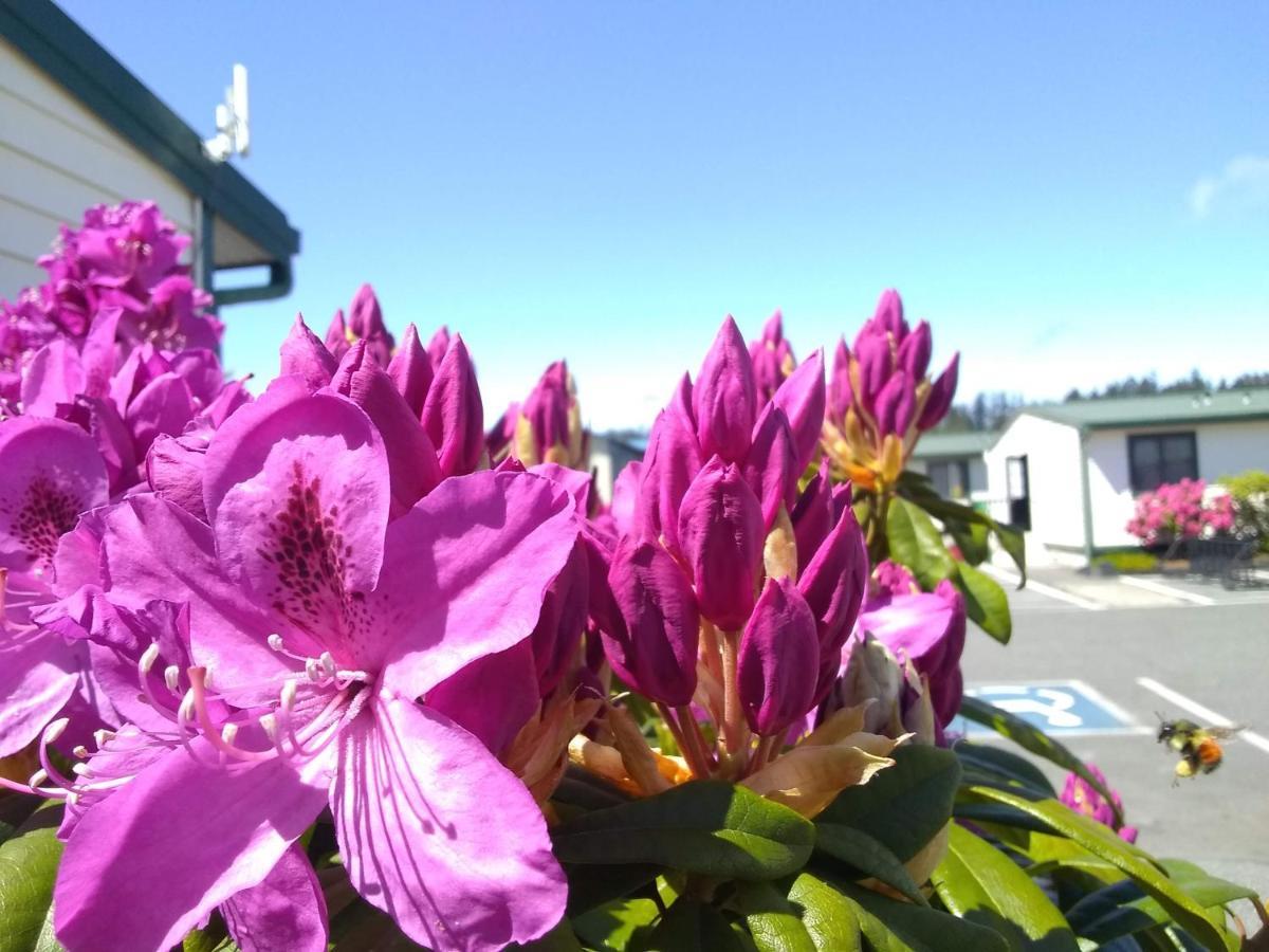 The Orca Inn Friday Harbor Esterno foto