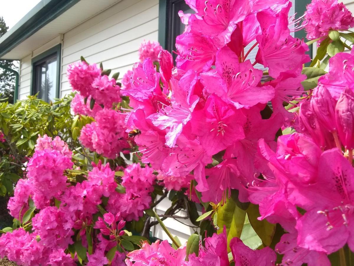 The Orca Inn Friday Harbor Esterno foto