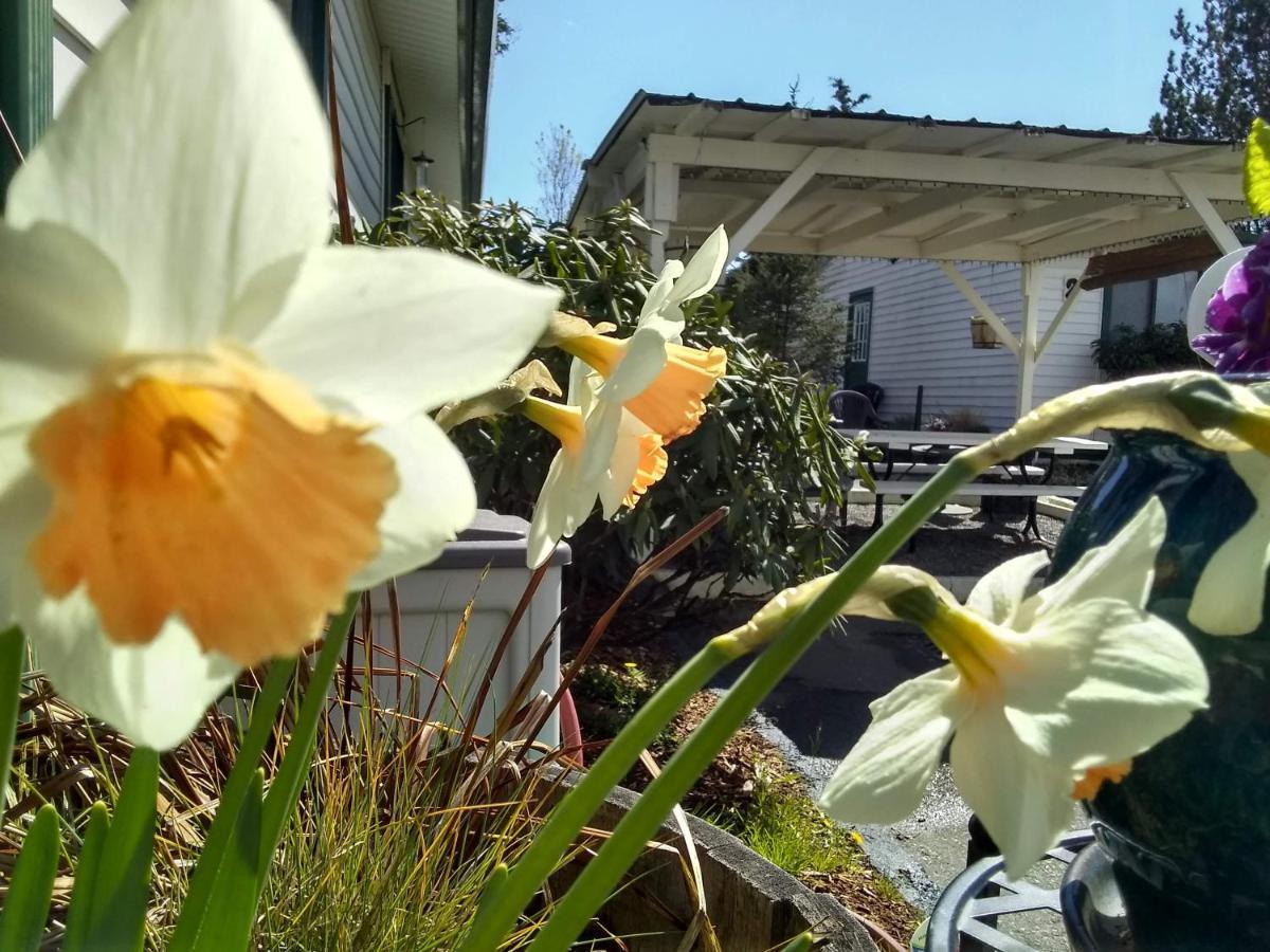 The Orca Inn Friday Harbor Esterno foto