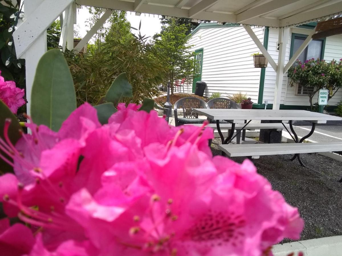 The Orca Inn Friday Harbor Esterno foto
