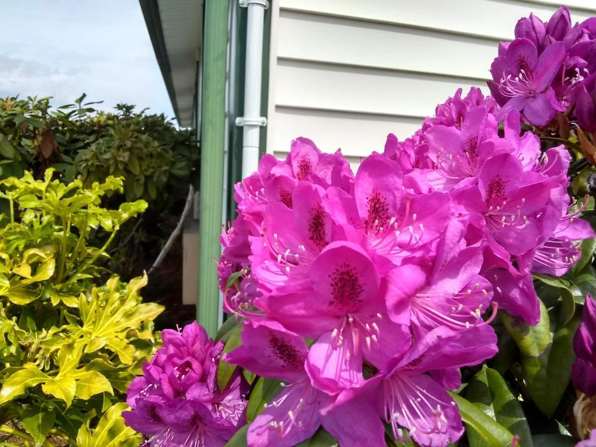 The Orca Inn Friday Harbor Esterno foto